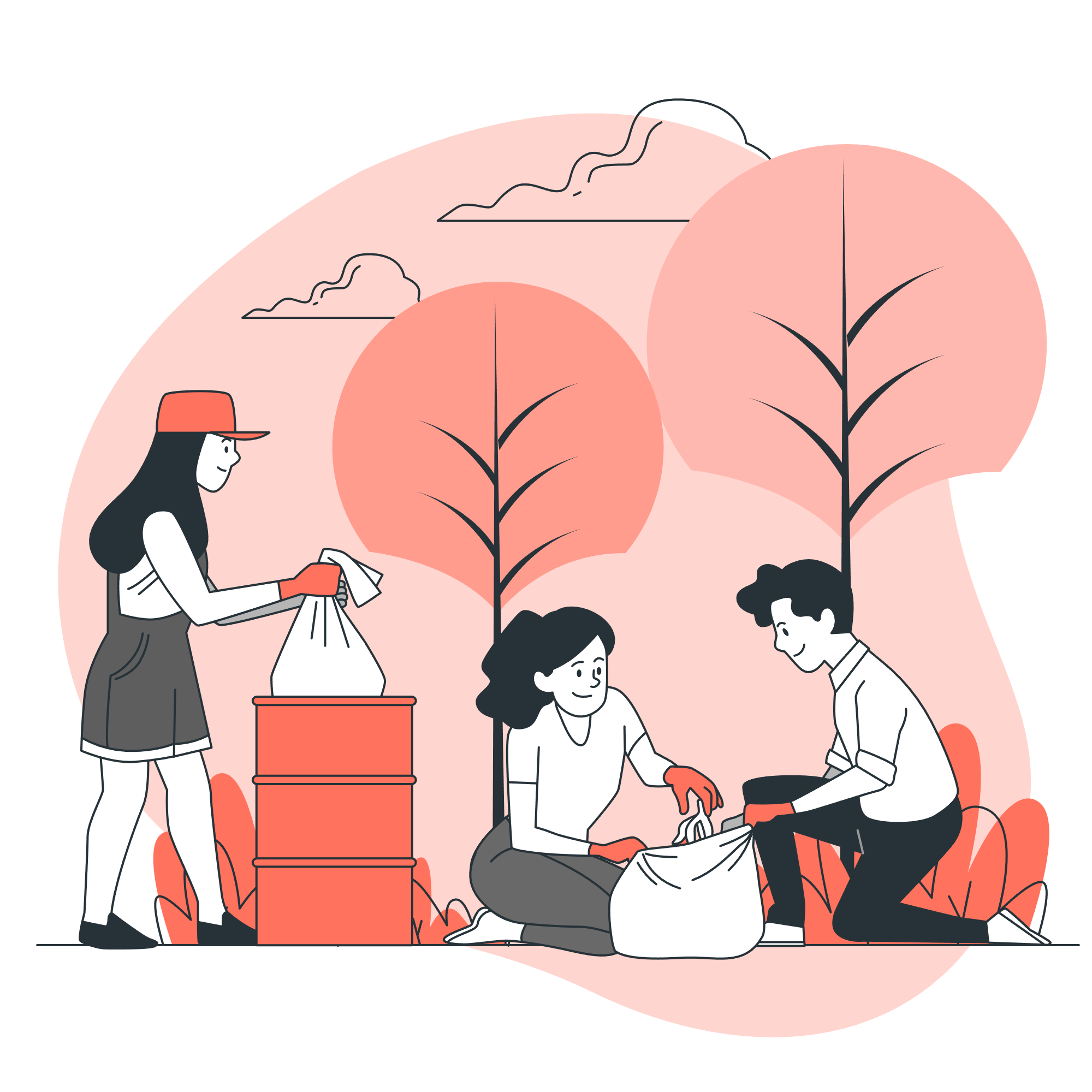 Cuidados e manutenção